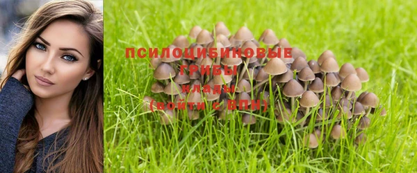 марки lsd Горнозаводск