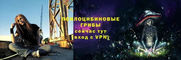 spice Горно-Алтайск