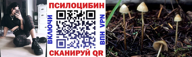 нарко площадка формула KRAKEN зеркало Нязепетровск как найти закладки Псилоцибиновые грибы Magic Shrooms